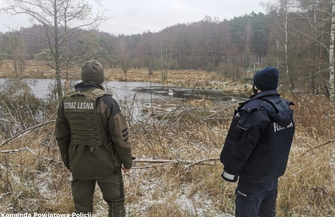 Ruszyła akcja choinka