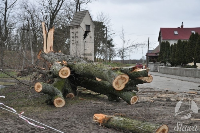 Społeczna mobilizacja mieszkańców