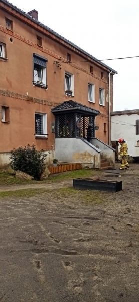 Nie tylko powalone drzewa.