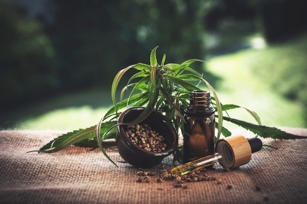 Jak medyczna marihuana działa na mózg Wyjaśniamy