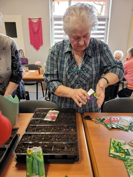 Wiosna w Klubie Senior w Szlichtyngowej ZDJĘCIA