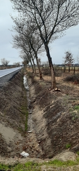 Szlichtyngowa Prace porządkowe i melioracyjne na drodze wojewódzkiej ZDJĘCIA