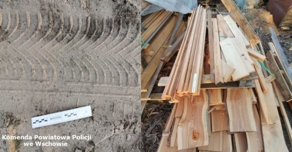 Sławscy policjanci odzyskali skradzione drewno