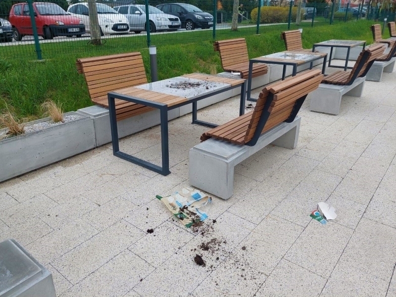 Sława Dbajmy o nasze wspólne dobro ZDJĘCIA