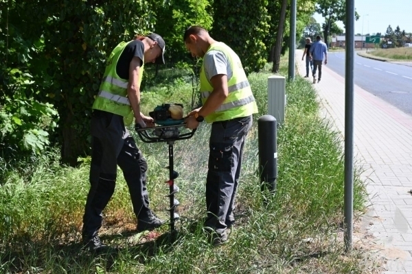 Ruszają prace w Parku