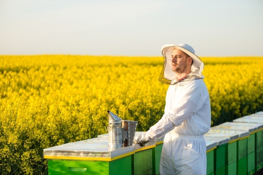 Poprawa warunków sanitarnych rodzin pszczelich