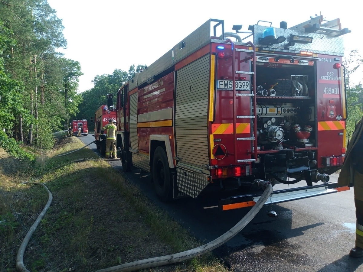 Pożar lasu w okolicach Goli ZDJĘCIA