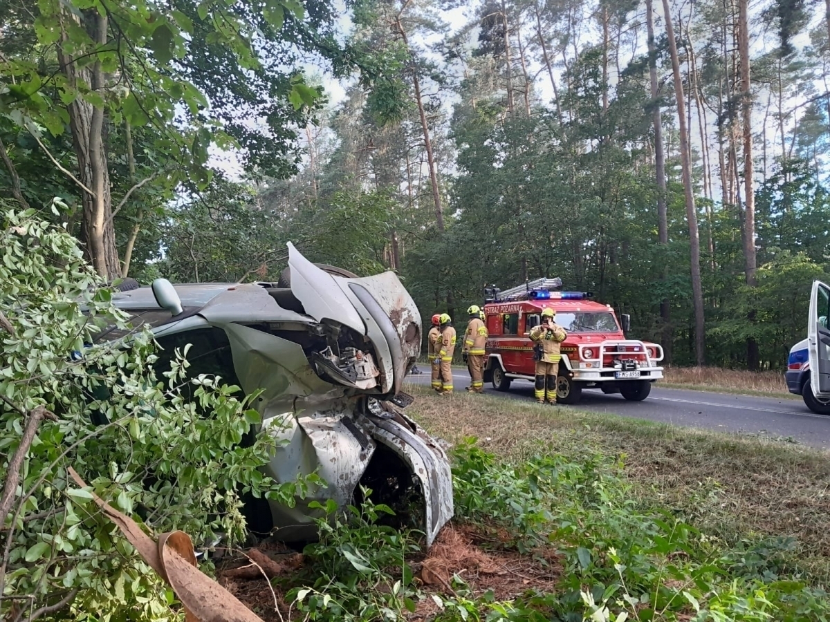 Pijany kierowca uderzyłw drzewo