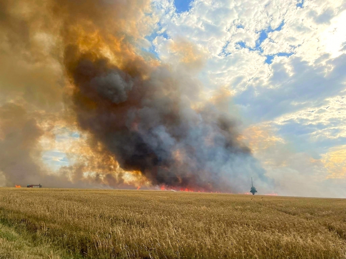 Pożar zboża na pniu w Łupicach ZDJĘCIA