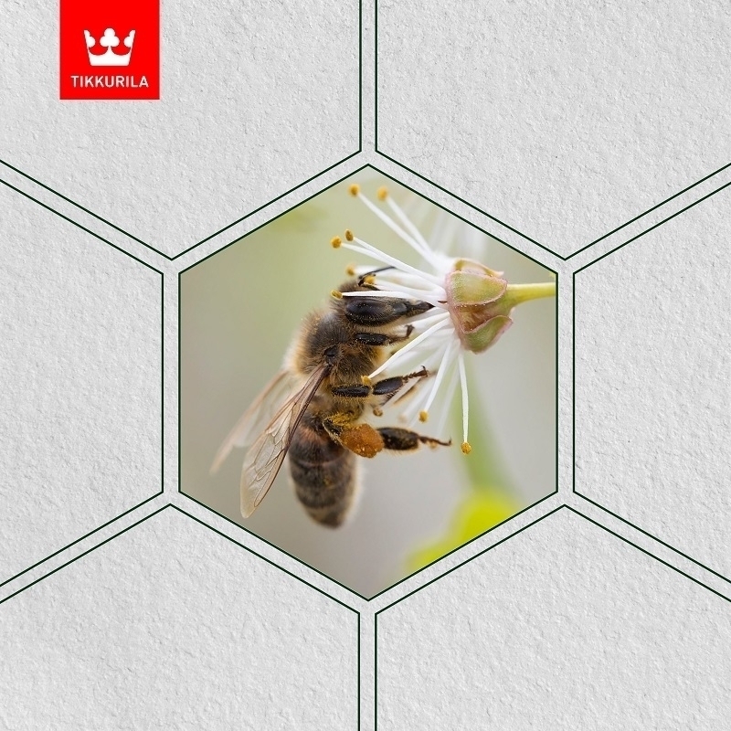 Tikkurila ze wsparciem dla Natury