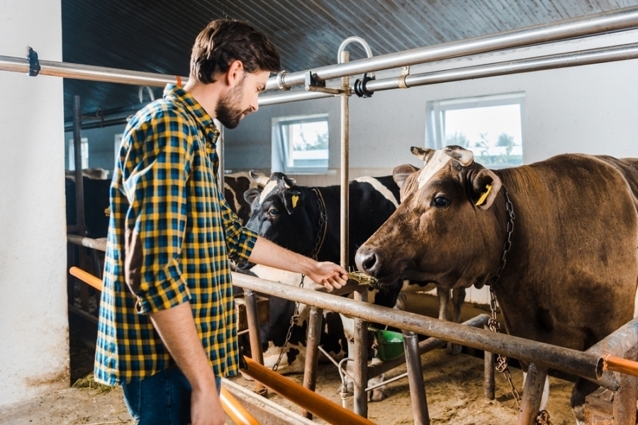 HZZ Osowa Sieńzatrudni pracownika na stanowisko zootechnik