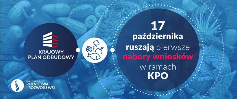 Ruszyły nabory wniosków w ramach Krajowego Plany Odbudowy.