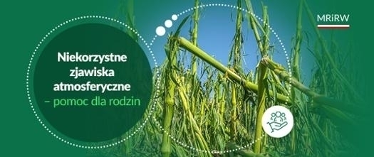 Nowe wsparcie klęskowe dla rodzin rolniczych
