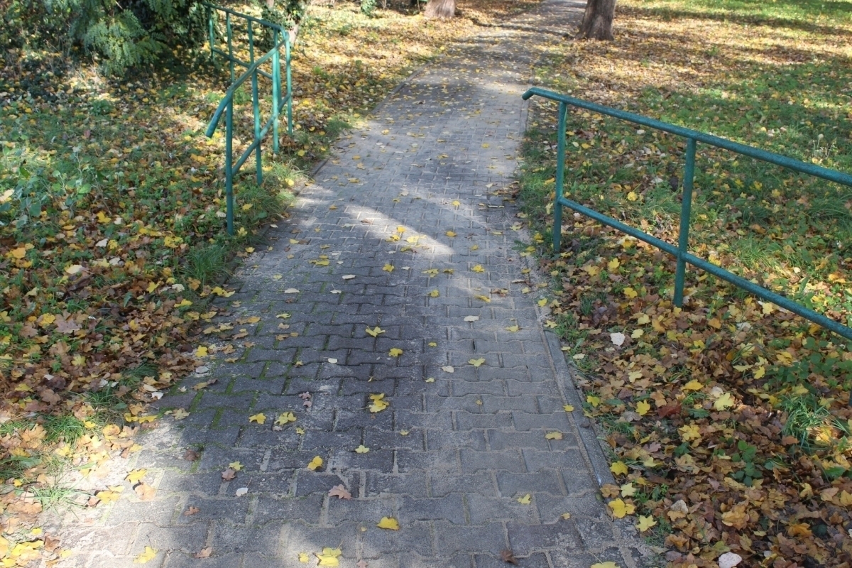 Trwa remont bieżący chodnika w Parku Górczyńskim ZDJĘCIA