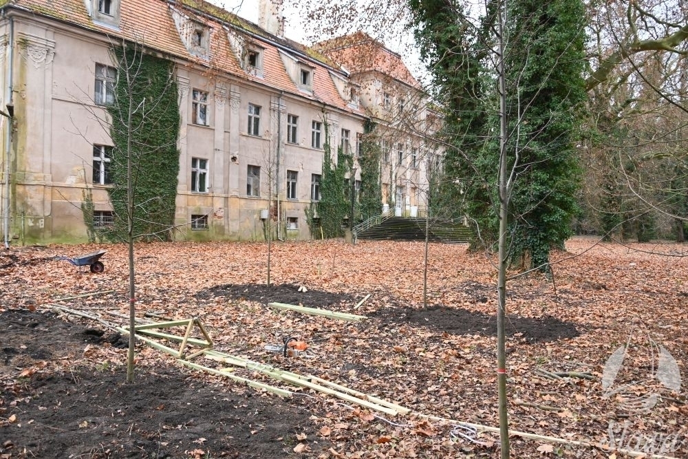 Kolejne prace przy Pałacu