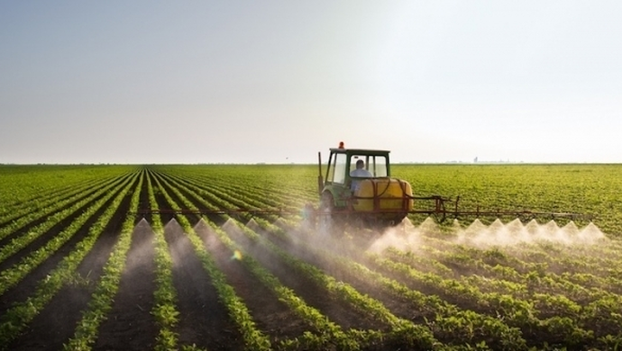 Nawożenie rzepaku wiosną – sprawdź nasz poradnik!