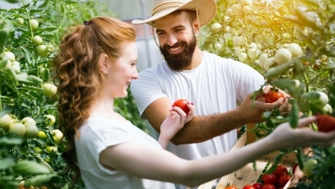 Sadzonki online - sklep ogrodniczy z dużym wyborem wyselekcjonowanych owoców i warzyw