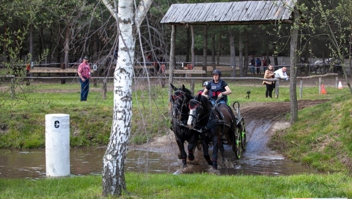 Znów będzie się działo na Ranczo Rubin w Nowej Wsi.