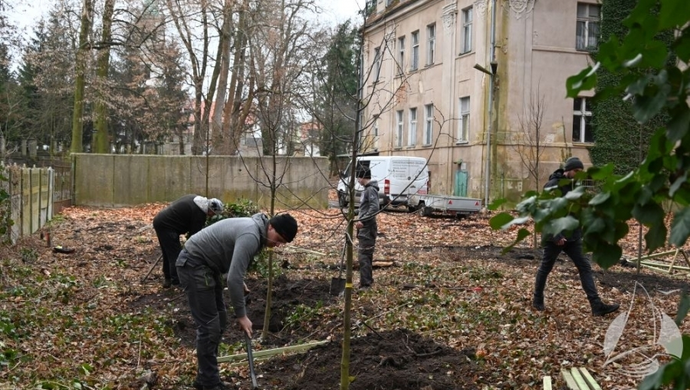 Kolejne prace przy Pałacu