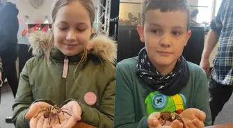 Wystawa pająków i skorpionów we Wschowie.