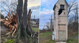 Zniszczone nagrobki i stacja transformatorowa.