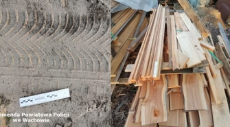 Sławscy policjanci odzyskali skradzione drewno