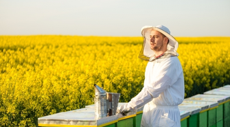 Poprawa warunków sanitarnych rodzin pszczelich