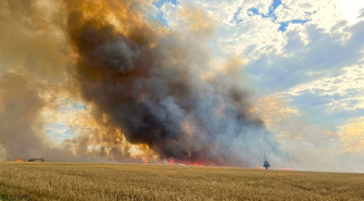 Pożar zboża na pniu w Łupicach (ZDJĘCIA)