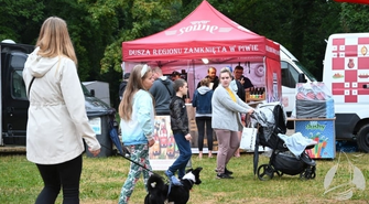 Food trucki na plaży
