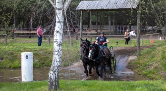 Znów będzie się działo na Ranczo Rubin w Nowej Wsi.