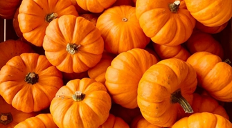 Jesienny piknik rodzinny w Sławie