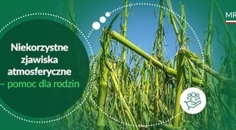 Nowe wsparcie klęskowe dla rodzin rolniczych