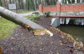 Dewastacja w Parku Miejskim ZDJĘCIA