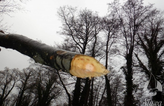 Dewastacja w Parku Miejskim ZDJĘCIA