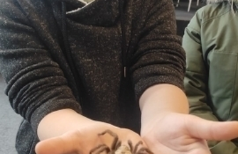 Wystawa pająków i skorpionów we Wschowie.