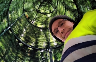 Choinka znika z Rynku ZDJĘCIA