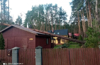 Zniszczone nagrobki i stacja transformatorowa.