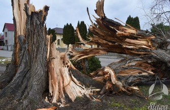 Społeczna mobilizacja mieszkańców