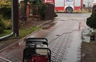 Nie tylko powalone drzewa.