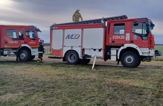 Nie tylko powalone drzewa.