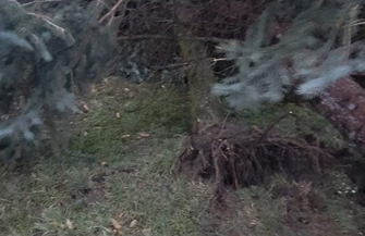 Burmistrz Wielgus składa podziękowania dla strażaków i służb komunalnych