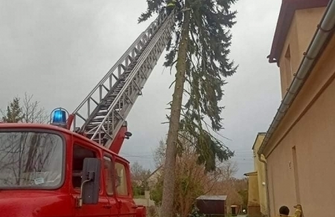 Burmistrz Wielgus składa podziękowania dla strażaków i służb komunalnych