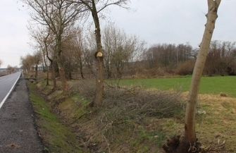 Szlichtyngowa Prace porządkowe i melioracyjne na drodze wojewódzkiej ZDJĘCIA