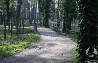 Druga część. Rewaloryzacja Parku w Sławie ZDJĘCIA