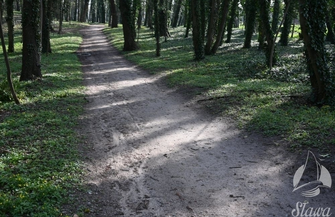 Druga część. Rewaloryzacja Parku w Sławie ZDJĘCIA