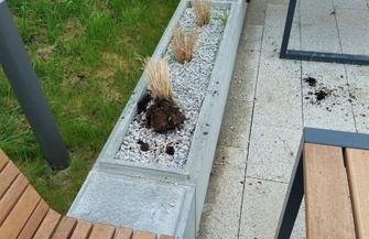 Sława Dbajmy o nasze wspólne dobro ZDJĘCIA