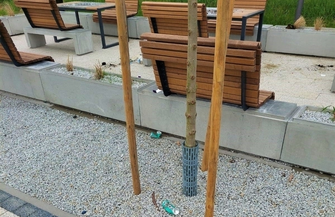 Sława Dbajmy o nasze wspólne dobro ZDJĘCIA