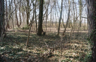 I przetarg ustny nieograniczony - działka w Radzyniu