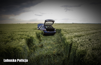 Podczas pościgu za skradzionym autem padły strzały.