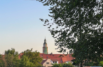 Zajrzeli do Lapidarium Rzeźby Nagrobnej.